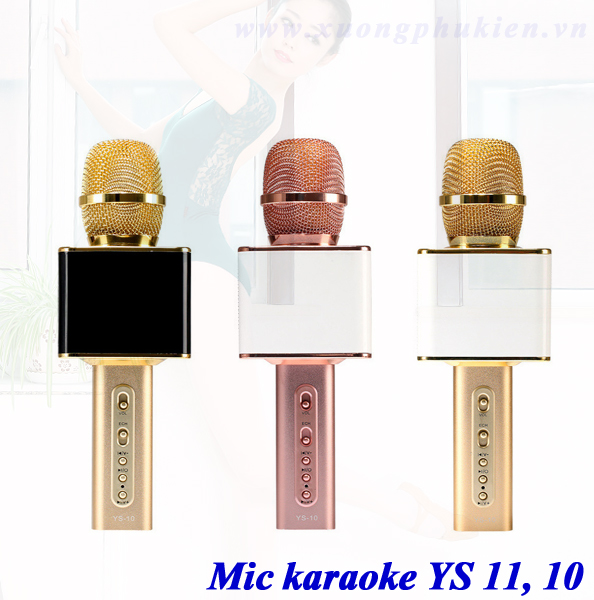 Mic karaoke YS 11